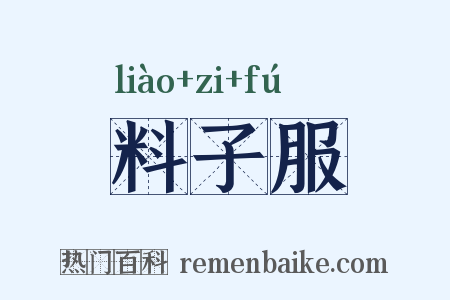 料子服是什么意思的图片